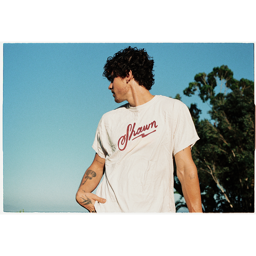 Shawn Tee Alt 2